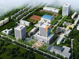 智慧校园可视化